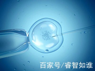 人工同志借卵代怀服务怎么找